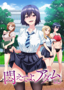 Download [18+] Modaete yo, Adam-kun (2024) Season 1 Uncensored {Japanese with Esub} Web-DL HEVC 720p [Complete EP!]